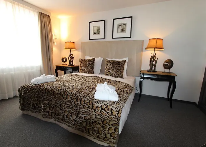 Ermitage Hotel Château-d'Oex