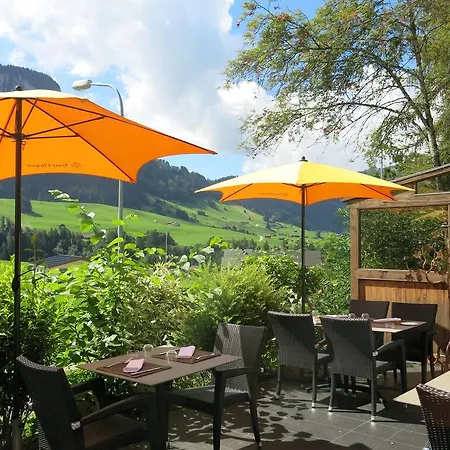 Ermitage 3* Chateau-d'Oex